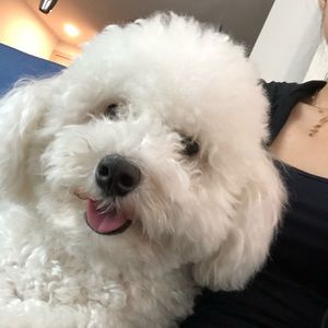 Meet your Posher, Lucy